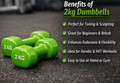 2kg Dumbells Set Of 2 - Vigorous Lifestyle