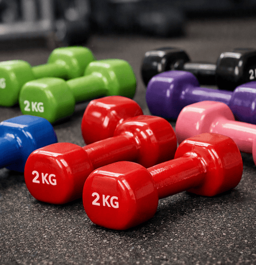 2kg Dumbells Set Of 2 - Vigorous Lifestyle